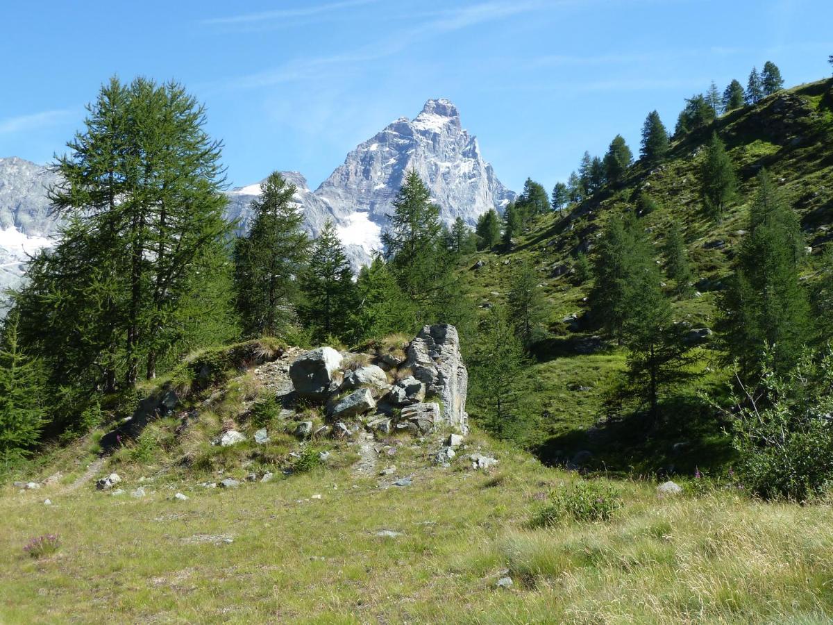 Le Petit Refuge Cervinia Appartement Breuil-Cervinia Buitenkant foto