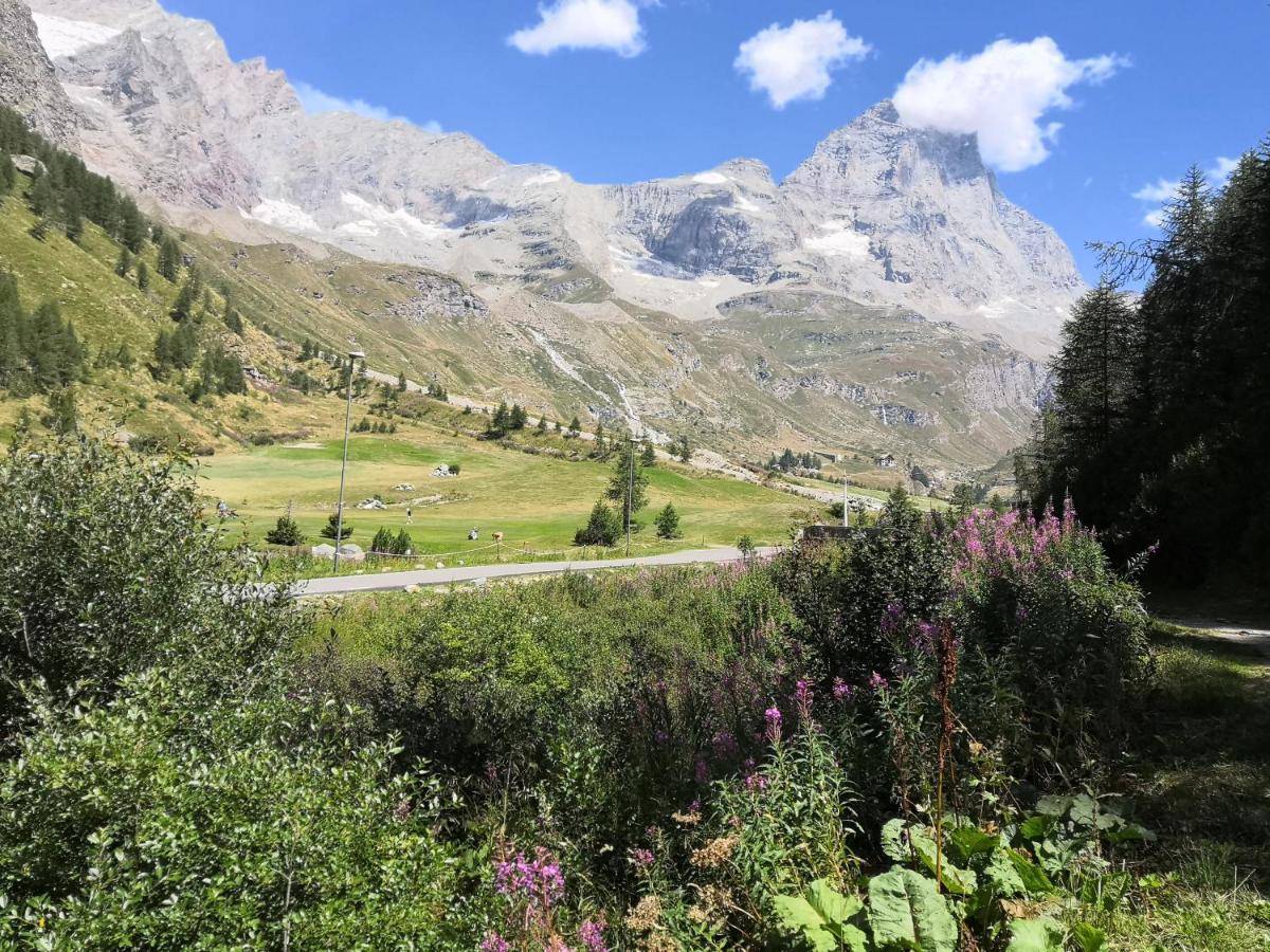 Le Petit Refuge Cervinia Appartement Breuil-Cervinia Buitenkant foto