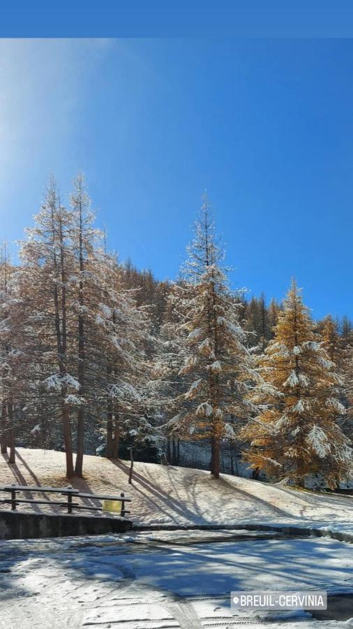 Le Petit Refuge Cervinia Appartement Breuil-Cervinia Buitenkant foto